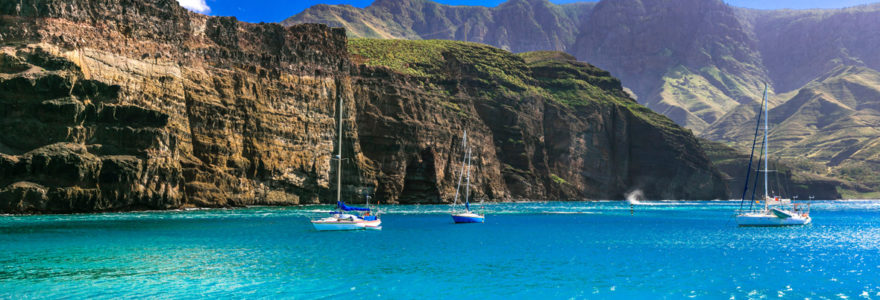 Canaries